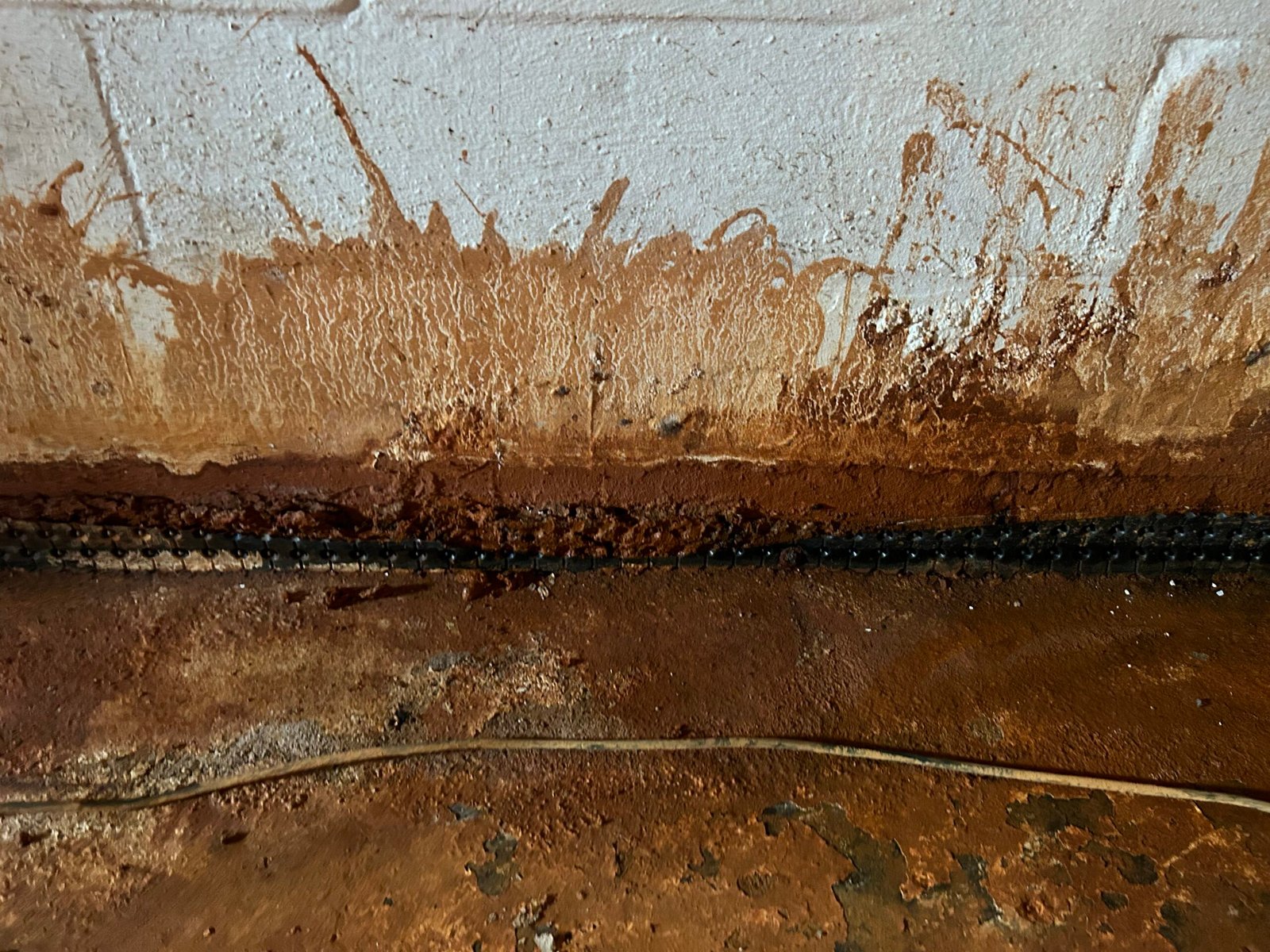 IMG_9124